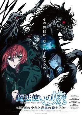 《魔法使的新娘 西之少年与青岚的骑士》：异世界奇幻的温柔叙事，这炼气练了三千年也未必能懂的魔法？